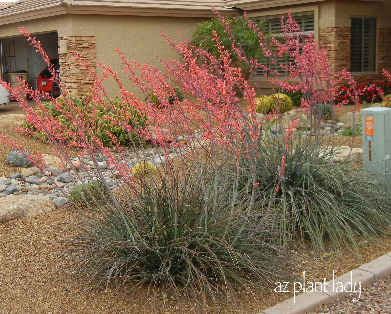 Gaia Garden Colorful Kansas