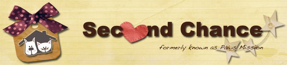 Second Chance @ Rescued is Our Favorite Breed