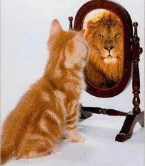 cat to lion