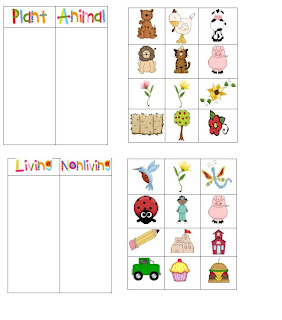 Classifying plants and animals worksheets