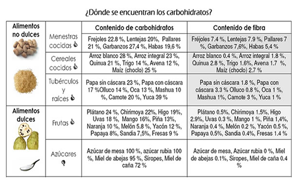 Algo Más Que Dieta: Elementos nutritivos