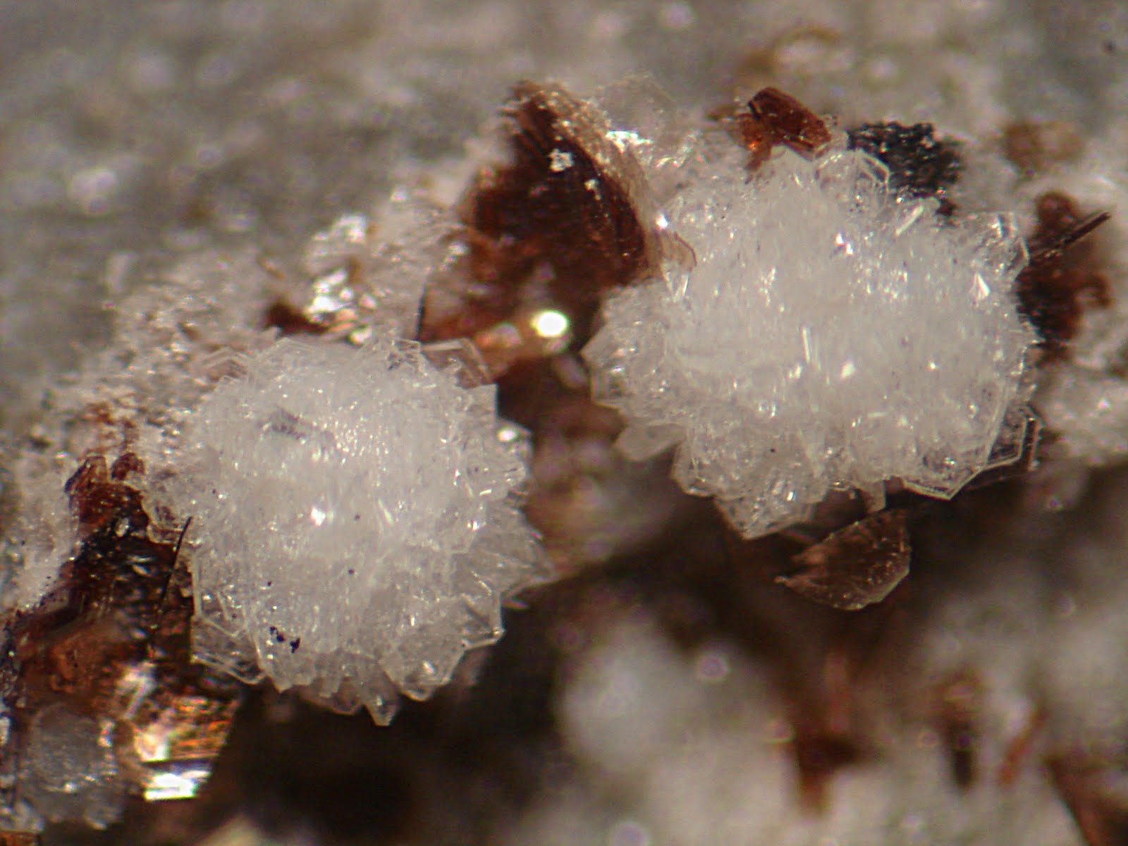 Galería de imágenes Tridimita y Fluoroflogopita