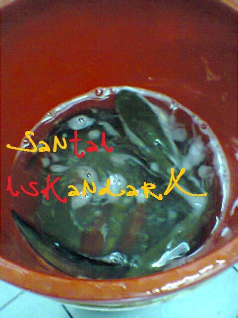 Santai-iskandarX-Flat-Ijau-Din-balik-Menagkap-Ikan-Haruan-Besar-besar-iskandarx.blogspot.com