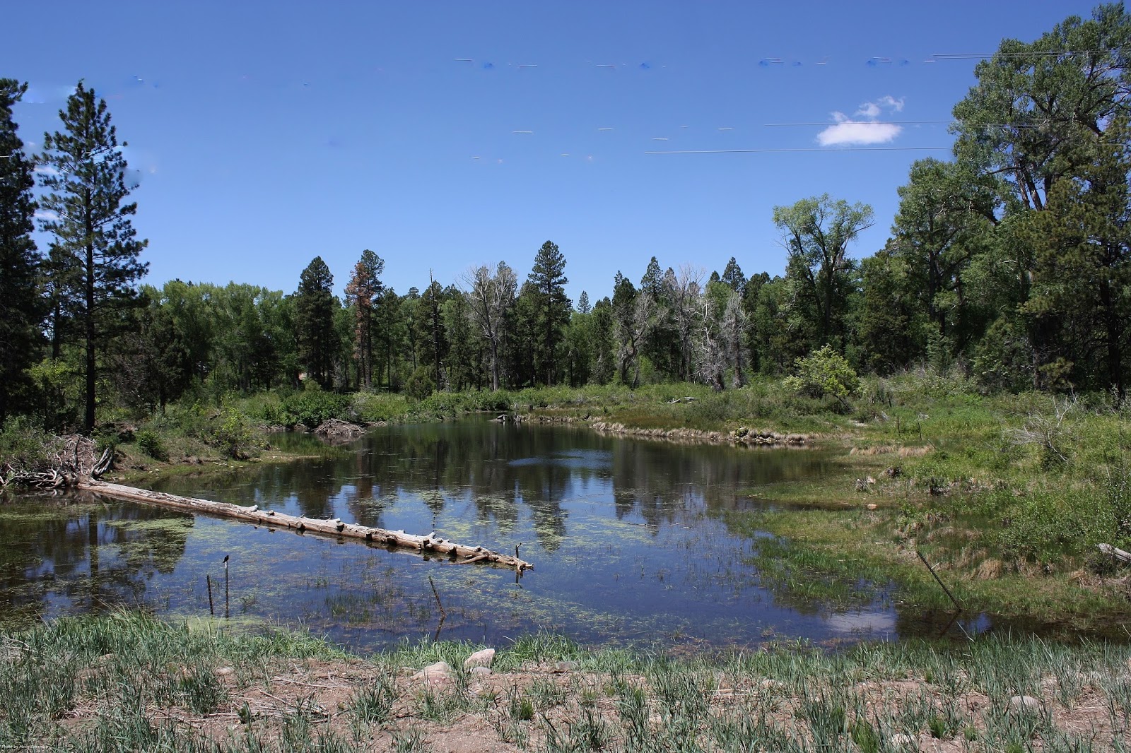 The Southwest Through Wide Brown Eyes La Plata Highway Colorado to