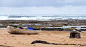 Trial Bay Tasmania