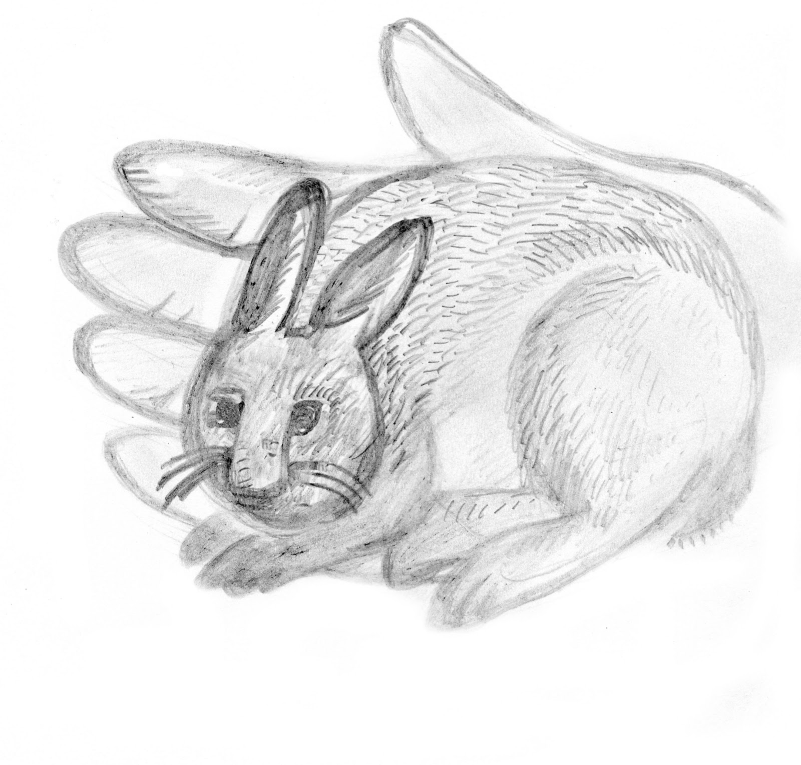 Claudia's Illustration Blog: Tale of an afternoon in the studio