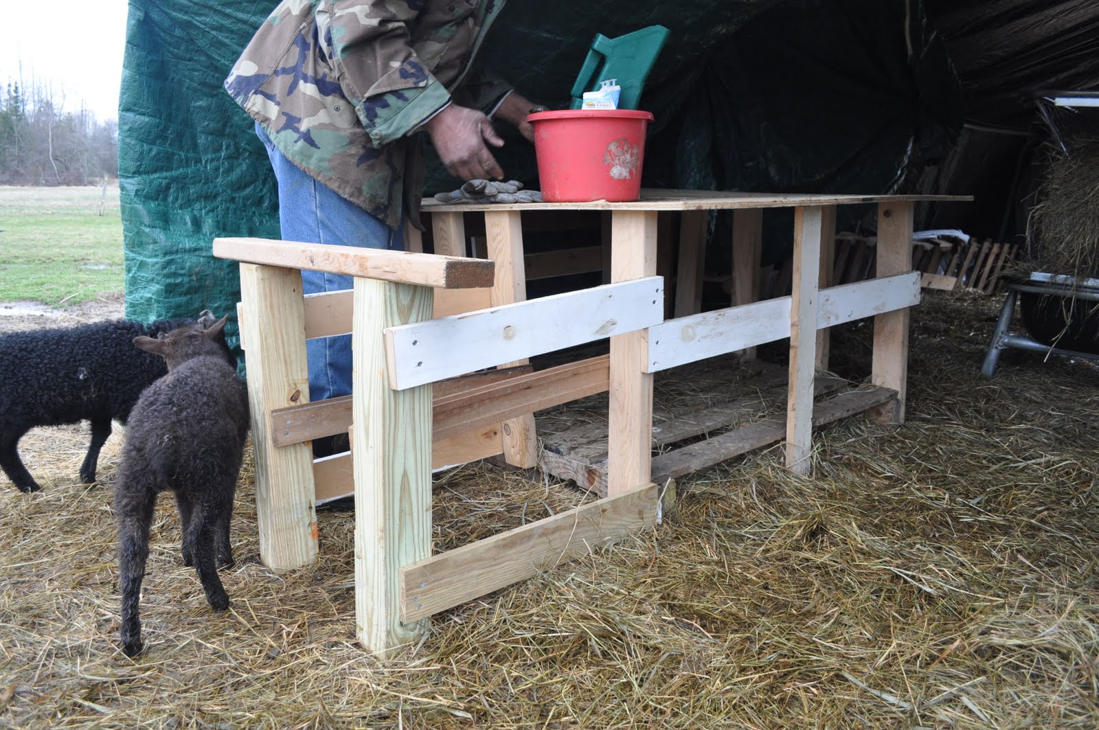 Mainely Ewes Farm Homemade Creep Feeder