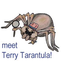 Meet Terry Tarantula