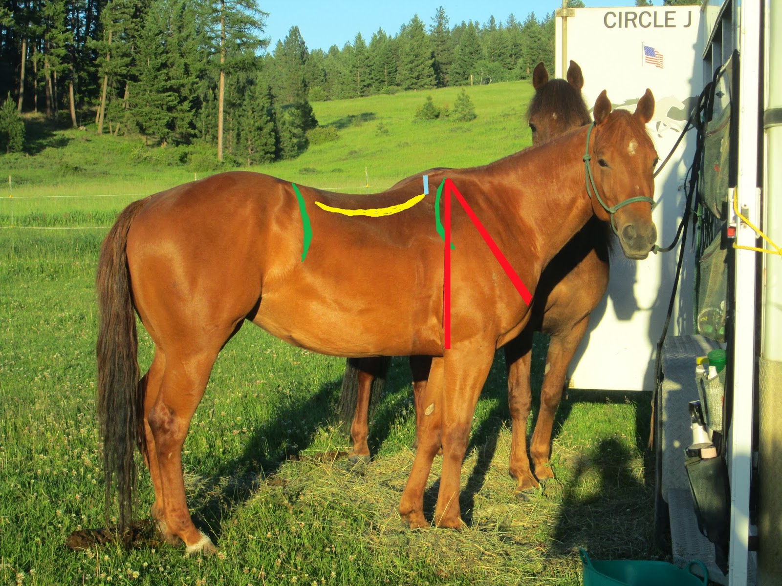 horseman's journey Having Fits with Saddle Fit