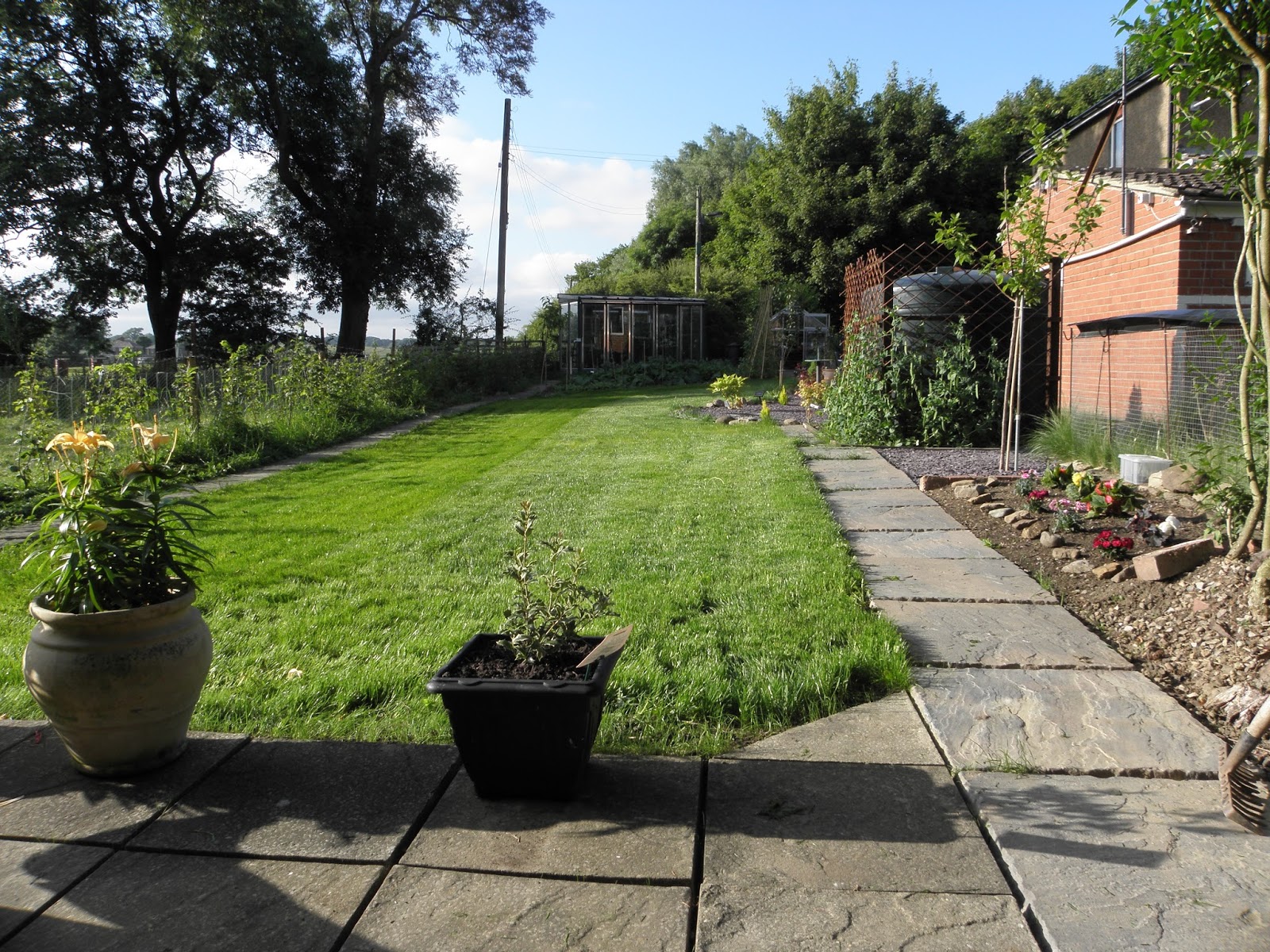 where eagles fear to perch: DIY landscaping of the extended garden....