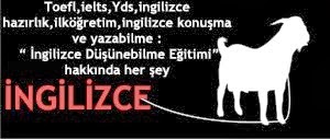 İngilizce Özel Ders