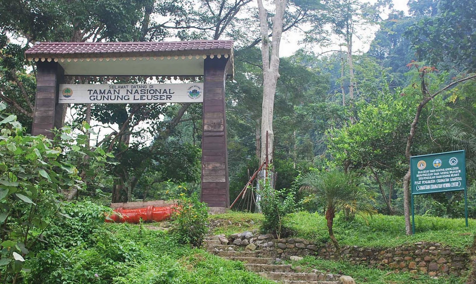 Taman Nasional Gunung Leuser | Kopi Aceh, Kopi Aceh, Kopi