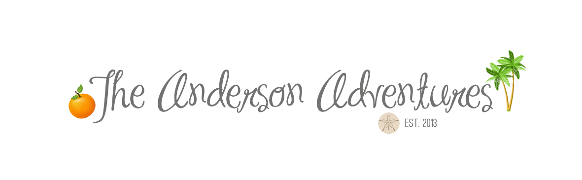 The Andersons