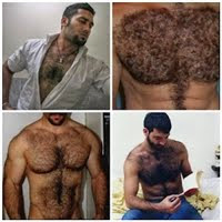 Hairy machos - hairy chest