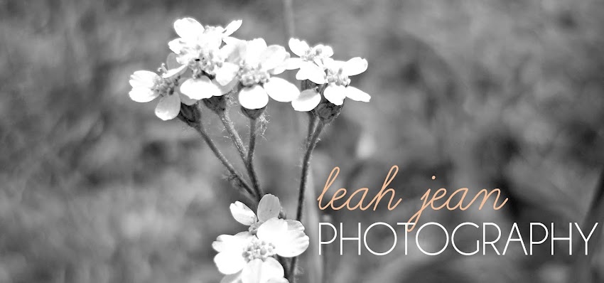 leah jean photography