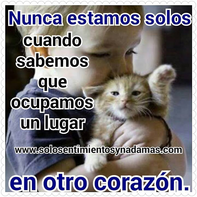 http://4.bp.blogspot.com/-LJBIv0t1KPM/VWqOljYK2eI/AAAAAAAAAsU/eXgI8ruC4M4/s640/11335707_902429723131775_43730350_n.jpg
