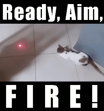 Notice the butt shaking before the attack cat attacks the red dot MOBILE CASINO