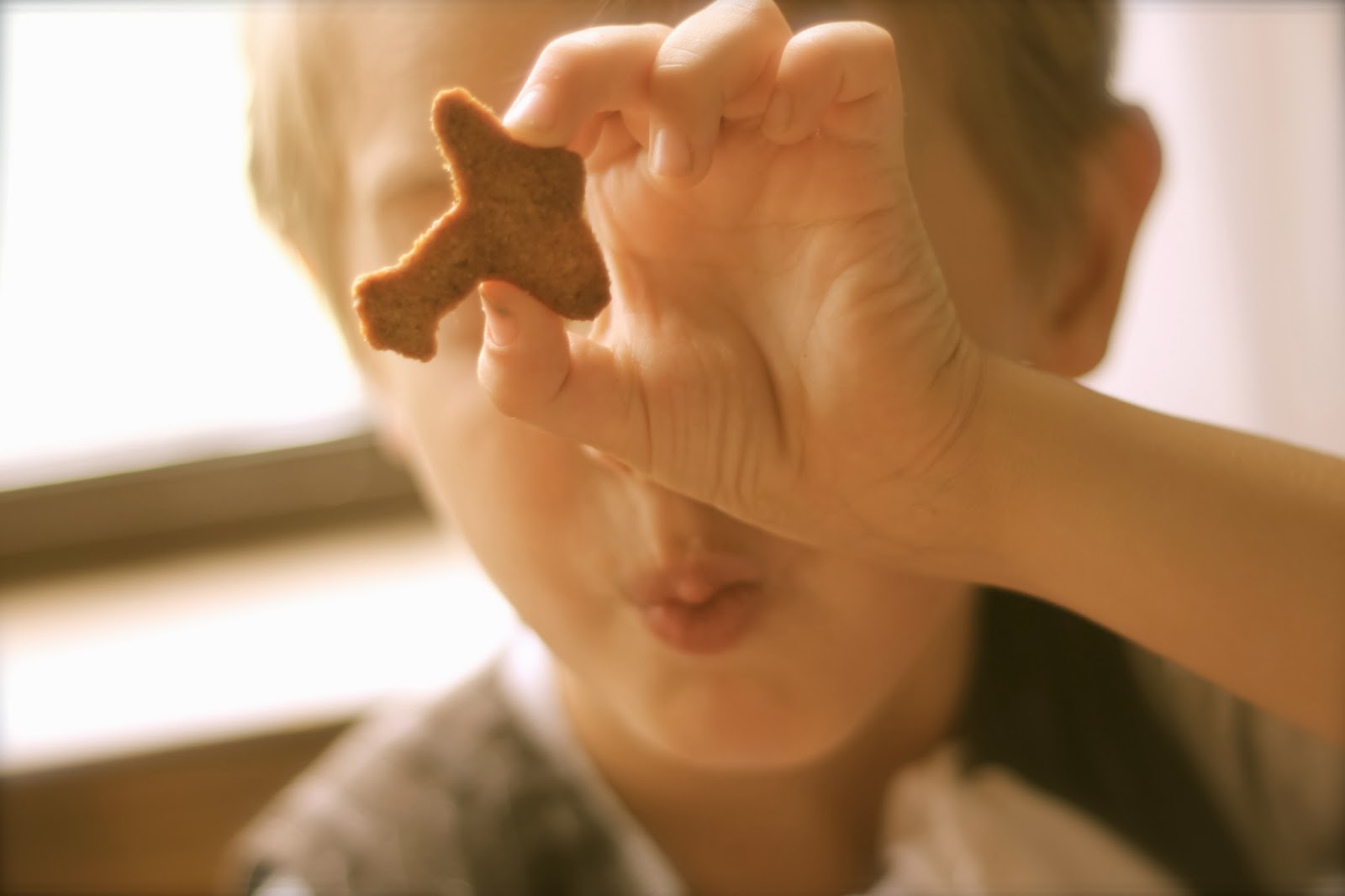 Where Your Treasure Is Animal Crackers and Cocoa to Drink