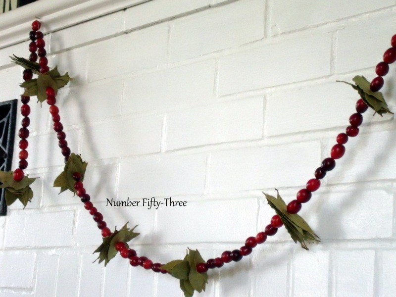 Number FiftyThree DIY Cranberry & Bay Leaf Garland