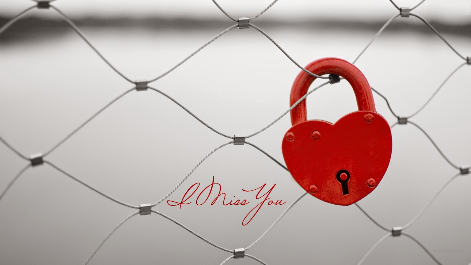 Love Lock HD Wallpapers - Fine Food