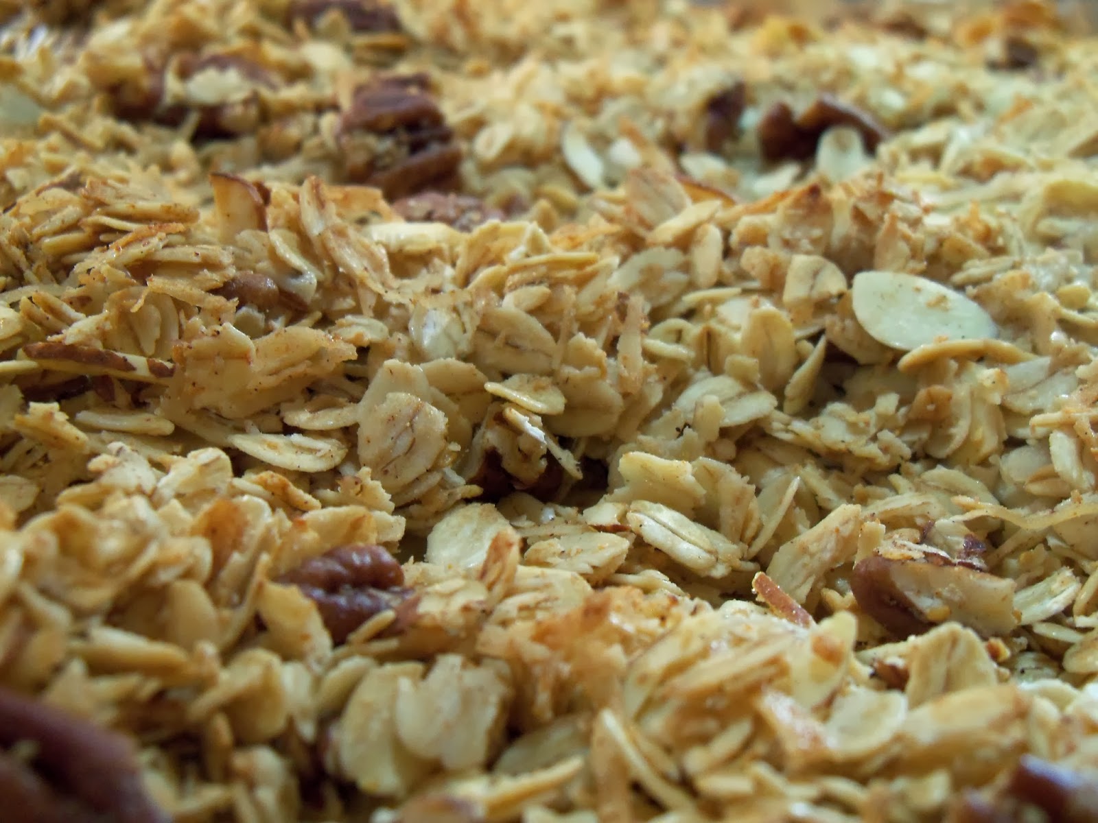 The Blue Spotted Owl Good For You Granola