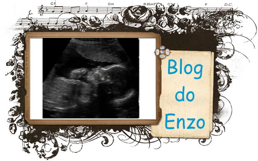 Blog do Enzo!
