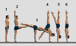 GIMNASIA ARTISTICA II: LA VERTICAL DE MANOS