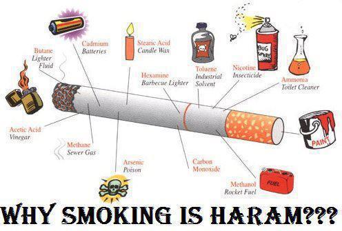 Tech blog: Harmful Health Effects Of Smoking Cigarettes :
