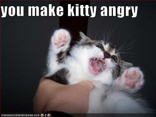 angry-kitty.jpg
