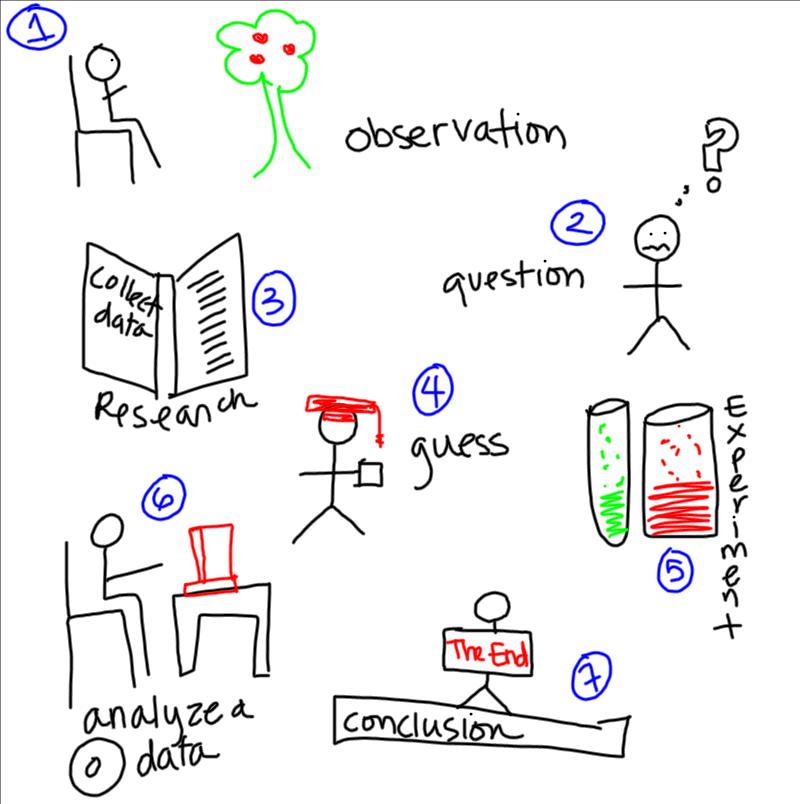 scientific methods worksheet 3 graphical analysis scientific methods worksheet 3 graphical analysis