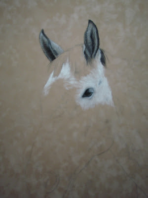 Pet Portrait in Pastel on the easel of Colette Theriault animal artist