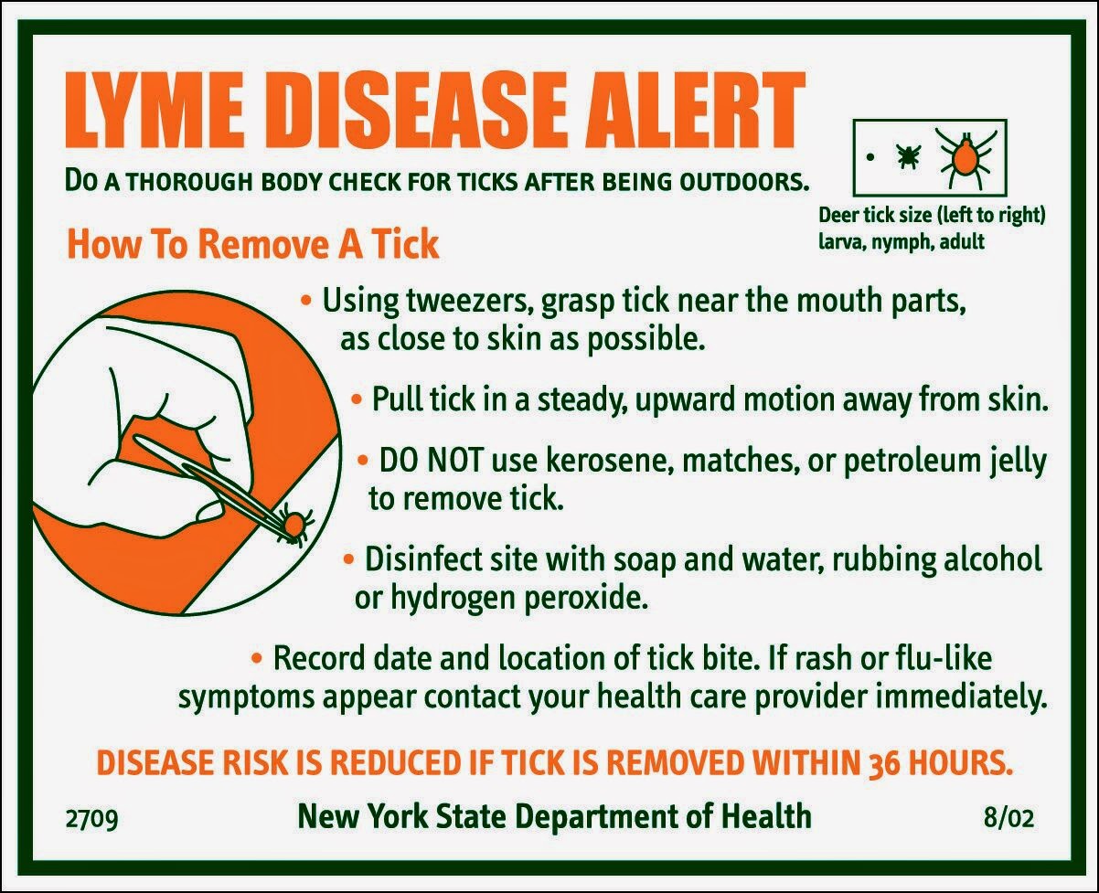 Lyme Disease Contagious Health and Disease