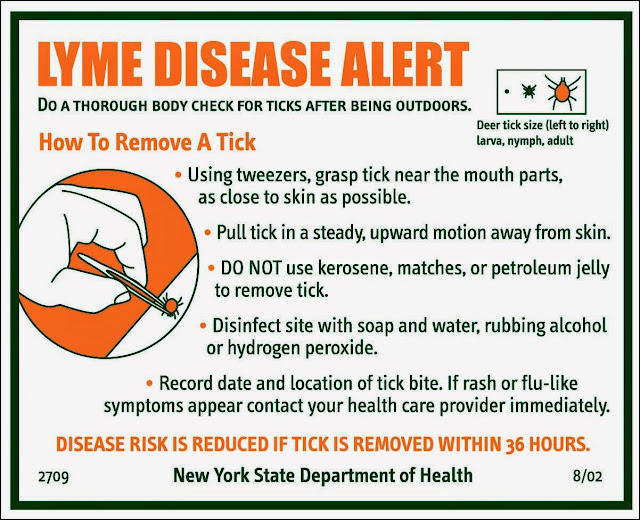 Lyme Disease Contagious Health and Disease