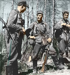 Torninjaakarit%2BM43.jpg