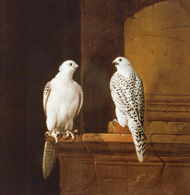 cuadros-pintados-de-pajaros-al-oleo cuadros-pintados-de-pajaros-al-oleo