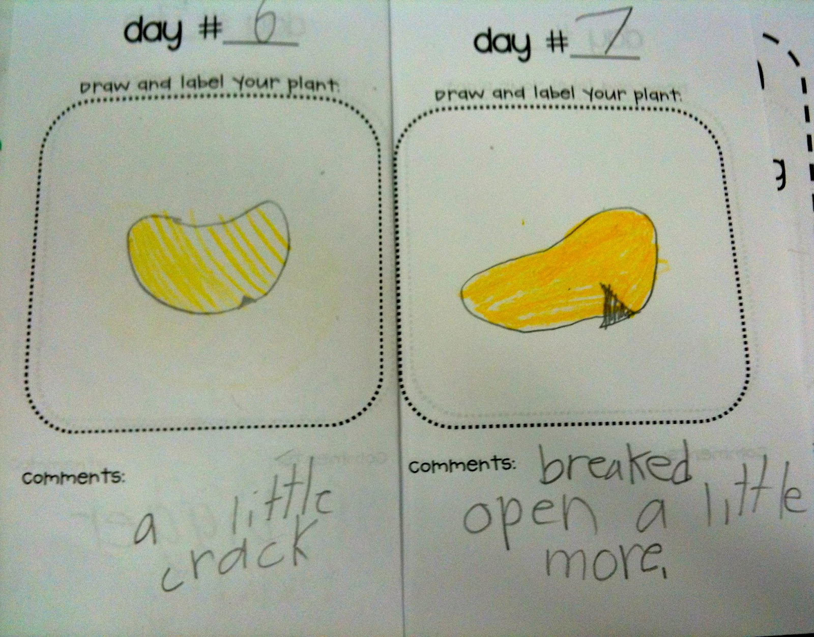 Kindergarten SuperKids More Plants!