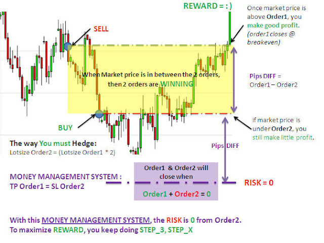Forex hedging system tips