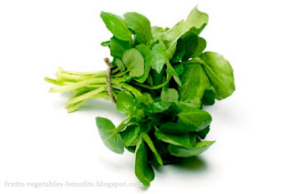 benefits of eating watercress benefits_of_eating_watercress_fruits-vegetables-benefits.blogspot.com(8)