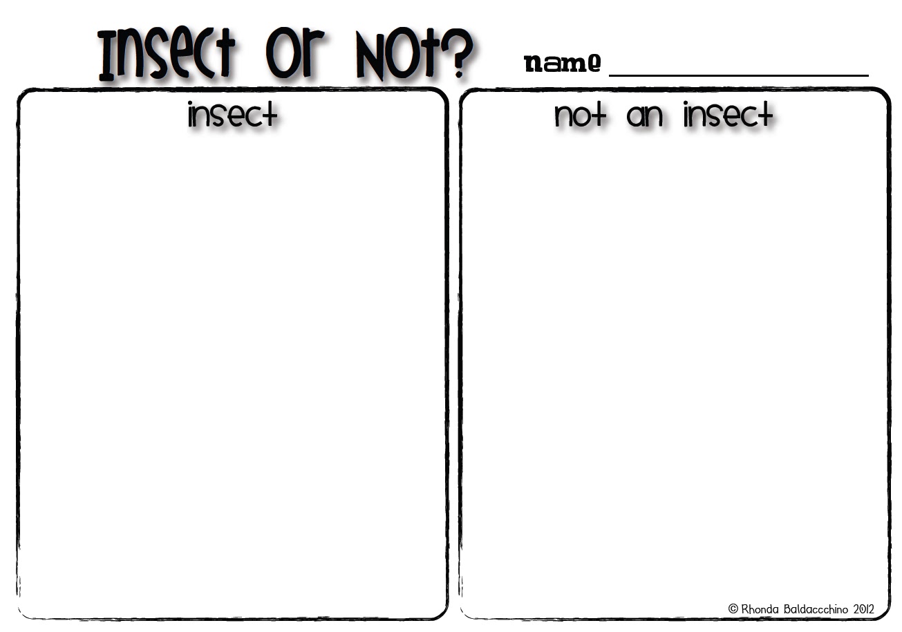 worksheet Sorting Worksheets For Kindergarten free kindergarten bug sorting worksheet printable blog classroom fun insect or not freebie worksheet