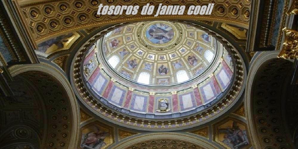 EL TESORO DE JANUA COELI