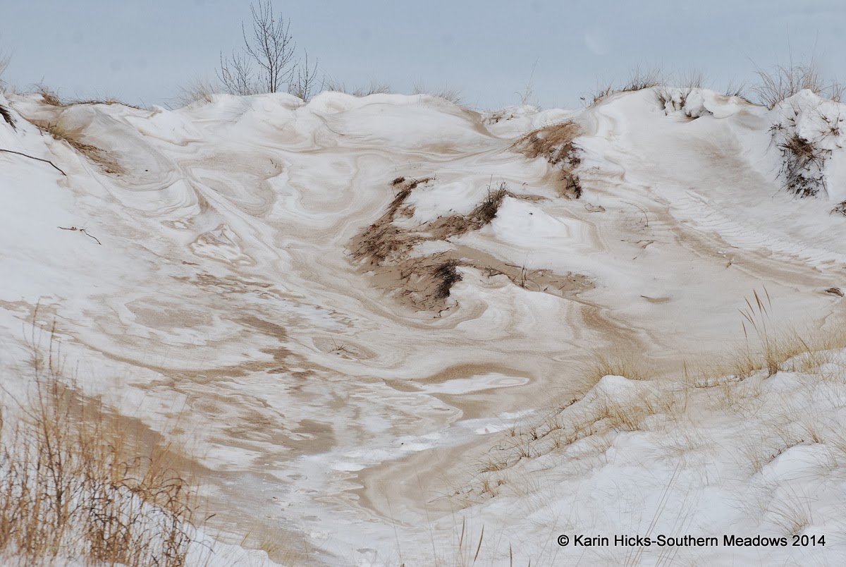 snow covered sand dunes