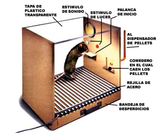 EJEMPLOS DE PSICOLOGIA EXPERIMENTAL ejemplos de psicologia experimental: