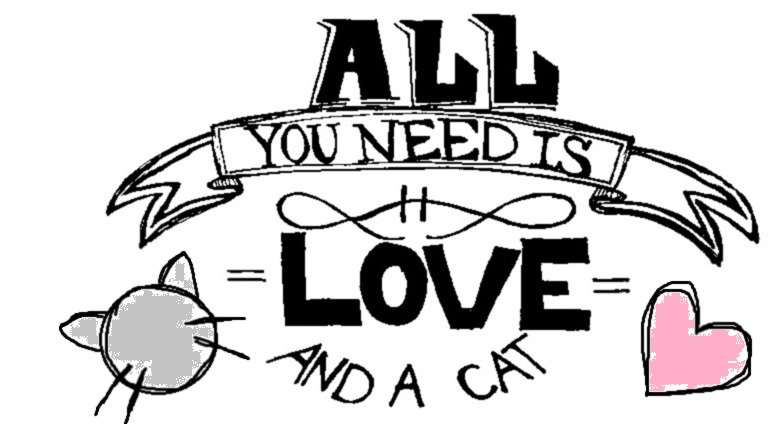 All You Need Is Love And A Cat