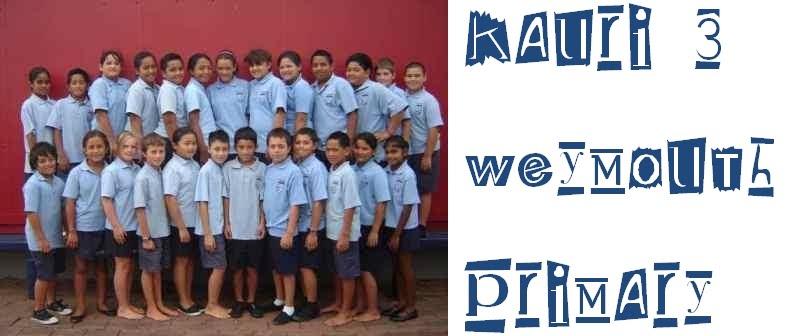 Kauri 3 Weymouth Primary