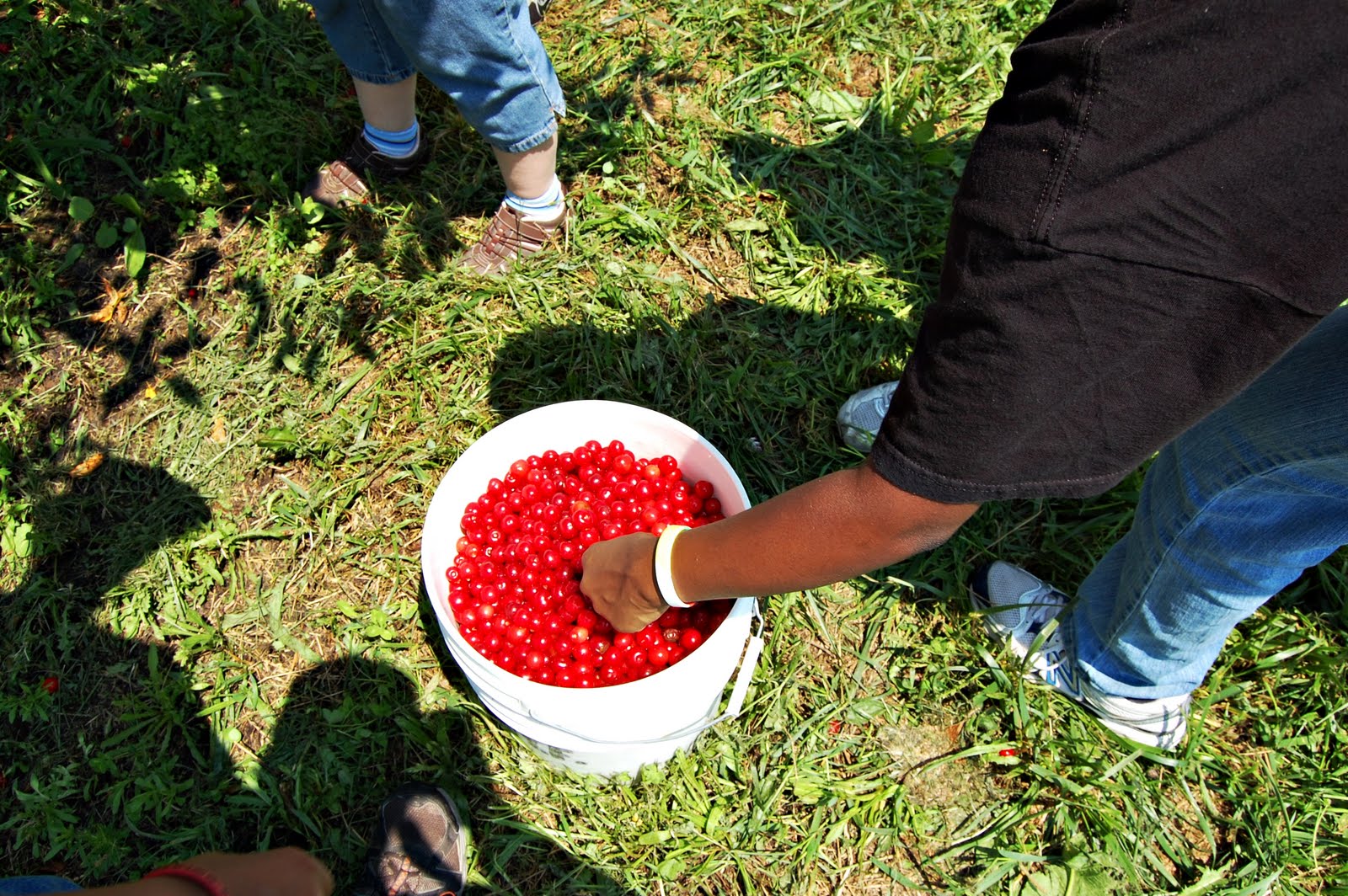 t(r)oymarbles cherry picking