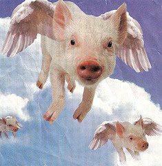 pigs_fly.jpg