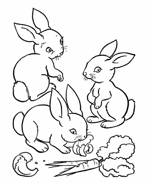 Cute animal rabbit coloring books sheet for kids drawing | Coloring Pages  Online