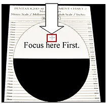 Printable Focus Chart