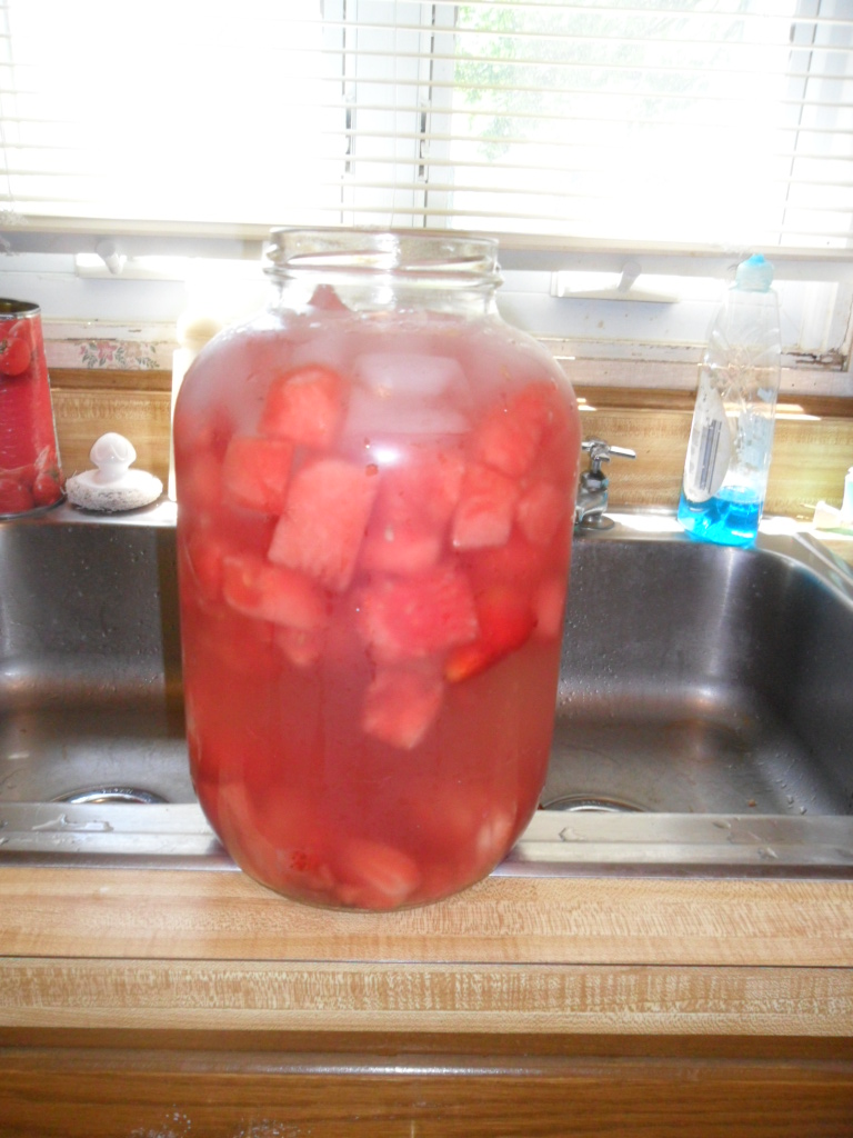 Domestic Randomness DIY Flavored Water (Strawberry Watermelon and Three Citrus Water)
