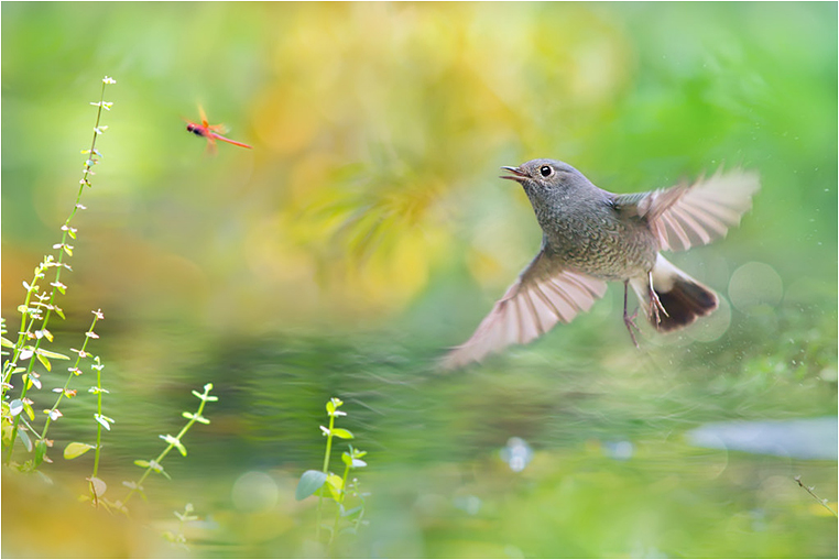 Emerging Photographers, Best Photo of the Day in Emphoka by Fu-yi Chen Emerging Photographers, Best Photo of the Day in Emphoka by Fu-yi Chen